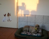 Pension_12