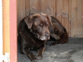 Pension_1