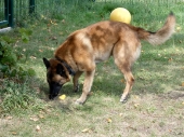 Pension_20