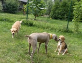 Pension_22