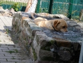 Pension_2