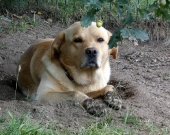 Pension_34