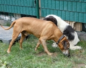 Pension_3