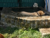 Pension_43