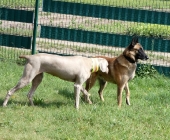 Pension_46