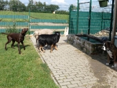 Pension_47