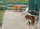 Pension_4