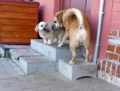 Pension_5