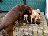 Pension_12