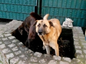 Pension_13