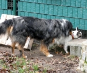 Pension_2