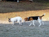 Pension_2