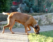 Pension_30