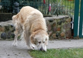 Pension_4