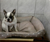Pension_59