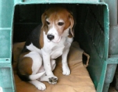 Pension_11