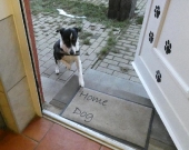 Pension_12