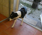Pension_13