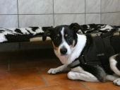 Pension_1