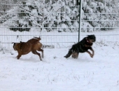 Pension_2