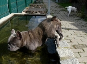 Pension_11