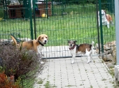 Pension_20