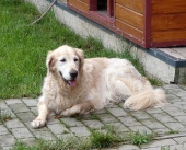 Pension_21