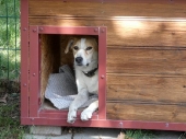 Pension_21