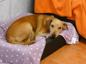 Pension_22