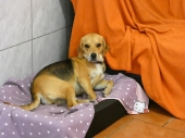 Pension_23