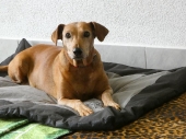 Pension_25
