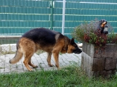 Pension_26