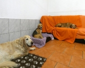 Pension_27