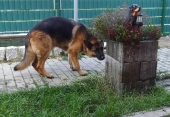 Pension_27