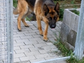 Pension_28