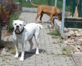 Pension_28