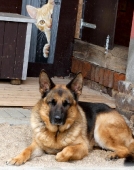 Pension_29