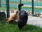 Pension_2