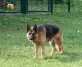 Pension_2