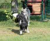 Pension_2