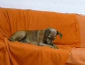 Pension_4