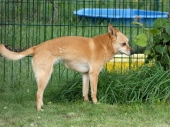 Pension_4