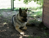 Pension_55