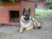 Pension_60