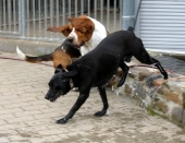 Pension_10