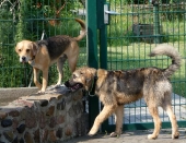 Pension_12