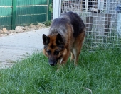 Pension_23