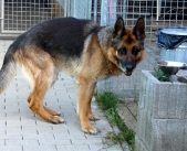 Pension_25