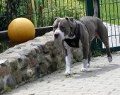 Pension_2