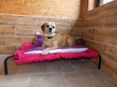 Pension_11